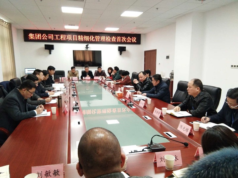 集團(tuán)公司對公司進(jìn)行項目精細(xì)化管理專項檢查