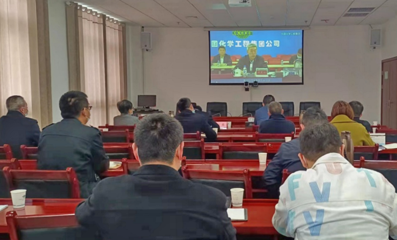 公司參加集團境外中方員工安全風(fēng)險防范線上培訓(xùn)